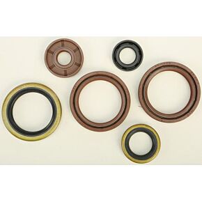 VERTEX Oil Seal Set