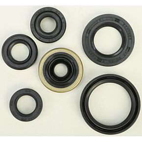VERTEX Oil Seal Set