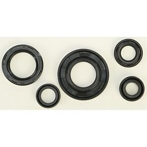 VERTEX Oil Seal Set