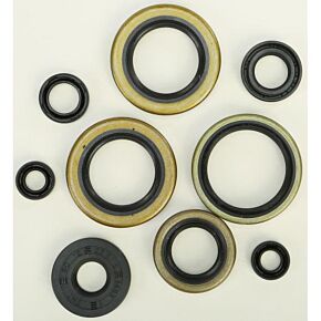 VERTEX Oil Seal Set