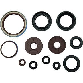 VERTEX Oil Seal Set