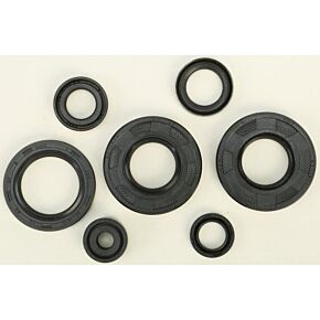 VERTEX Oil Seal Set