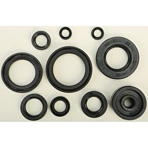 VERTEX Oil Seal Set