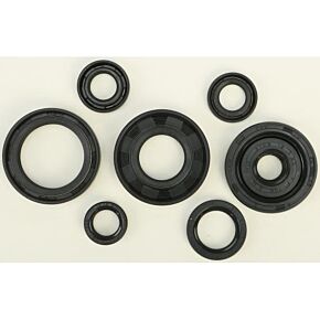 VERTEX Oil Seal Set
