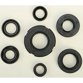 VERTEX Oil Seal Set