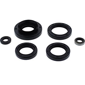 VERTEX Oil Seal Set