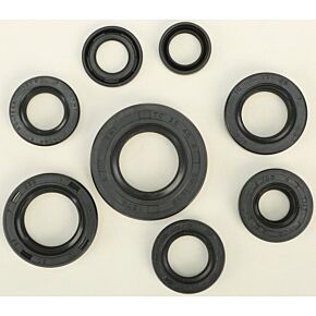VERTEX Oil Seal Set