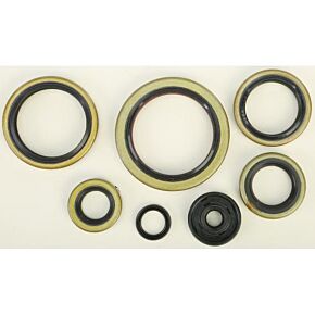 VERTEX Oil Seal Set