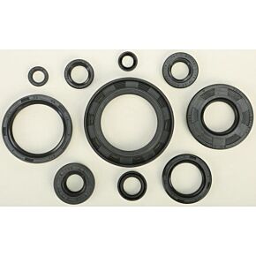 VERTEX Oil Seal Set