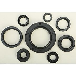 VERTEX Oil Seal Set