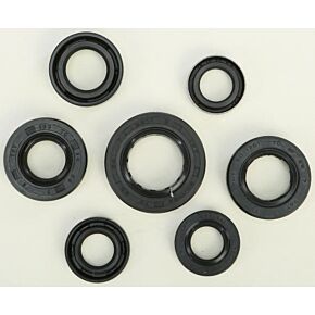VERTEX Oil Seal Set