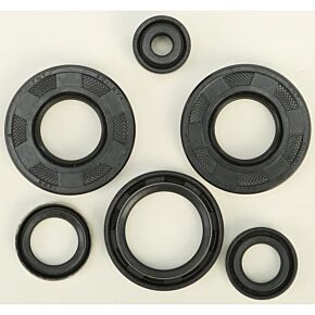 VERTEX Oil Seal Set