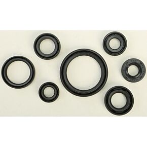 VERTEX Oil Seal Set