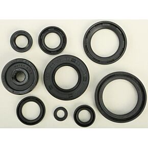 VERTEX Oil Seal Set
