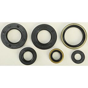 VERTEX Oil Seal Set