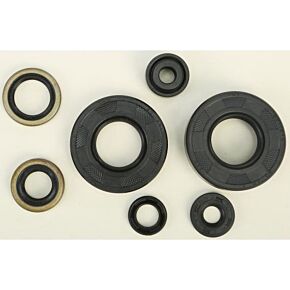 VERTEX Oil Seal Set