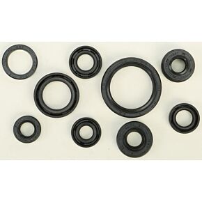 VERTEX Oil Seal Set