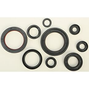 VERTEX Oil Seal Set