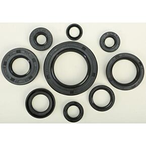 VERTEX Oil Seal Set