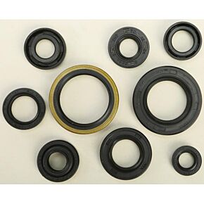 VERTEX Oil Seal Set