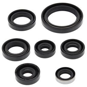VERTEX Oil Seal Set