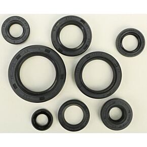 VERTEX Oil Seal Set
