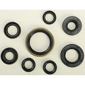 VERTEX Oil Seal Set