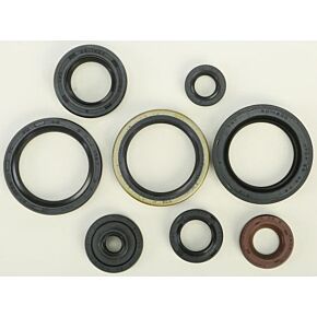 VERTEX Oil Seal Set