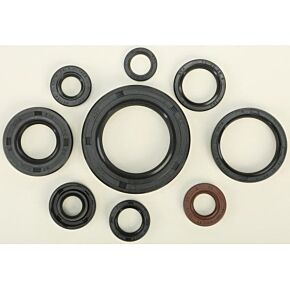 VERTEX Oil Seal Set