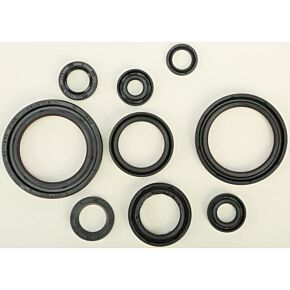 VERTEX Oil Seal Set