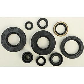 VERTEX Oil Seal Set