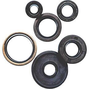 VERTEX Oil Seal Set
