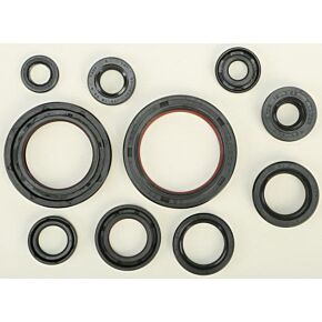 VERTEX Oil Seal Set