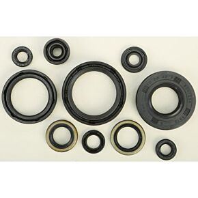VERTEX Oil Seal Set