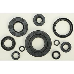 VERTEX Oil Seal Set