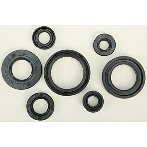 VERTEX Oil Seal Set