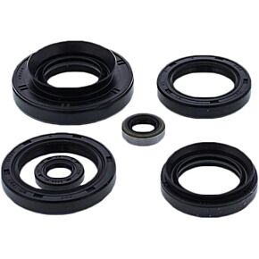 VERTEX Oil Seal Set