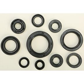 VERTEX Oil Seal Set