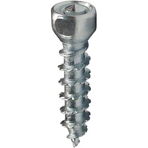 WOODYS Boss Twist Screws 30mm 100/pk