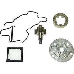 WSM Oil Pump Rebuild Kit S-d S-d 4-tec Secondary-frt