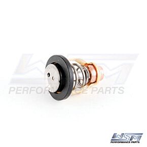 WSM Thermostat Yam