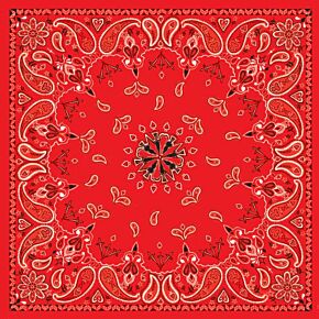 ZAN Bandanna Red Paisley
