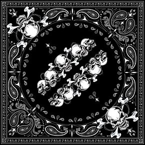 ZAN Bandanna Skull Row