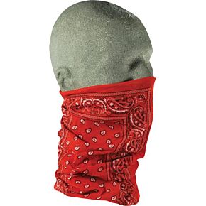 ZAN Motley Tube Red Paisley