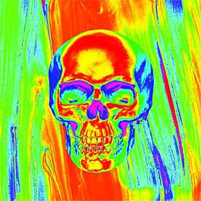 ZAN Poly Micromesh Thrml Flydanna Skull