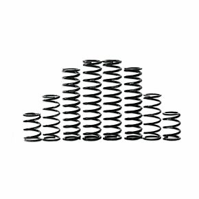 ZBROZ Dual Rate Spring Kit Kaw