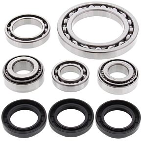 All Balls Racing All Balls Racing 01-02 Arctic Cat 250 4x4 Differential Bearing & Seal Kit Front - 25-2022
