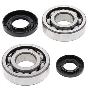 All Balls Racing All Balls Racing 01-23 Yamaha YZ250 Crank Shaft Bearing Kit - 24-1029