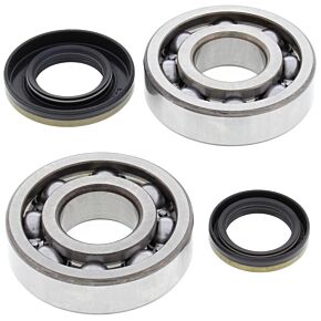 All Balls Racing All Balls Racing 03-04 Suzuki RM250 Crank Shaft Bearing Kit - 24-1046