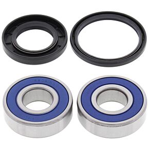 All Balls Racing All Balls Racing 03-09 Suzuki AN650 Burgman Wheel Bearing Kit - Rear - 25-1380